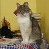 Отзыв от Римма Анисимова